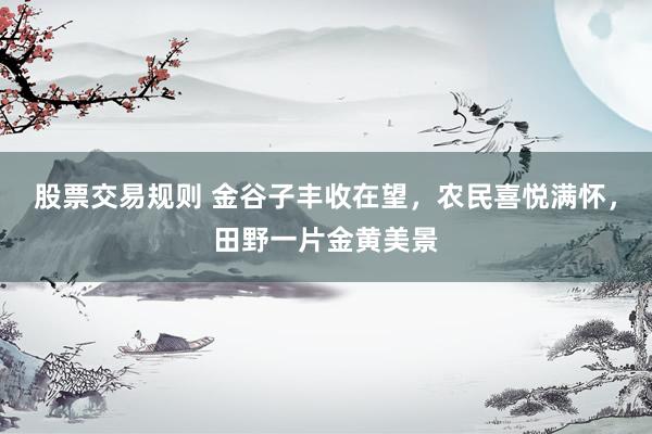 股票交易规则 金谷子丰收在望，农民喜悦满怀，田野一片金黄美景