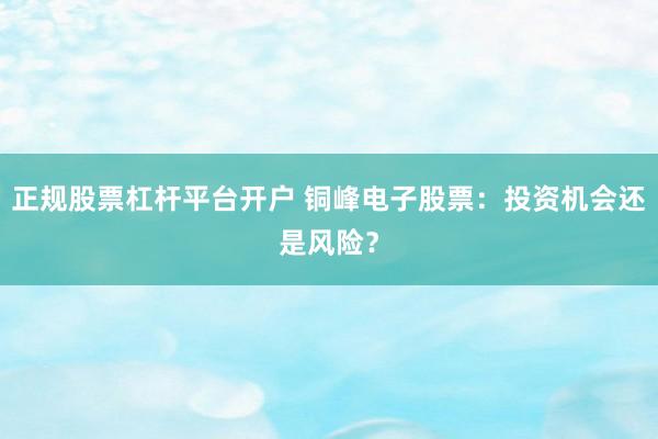 正规股票杠杆平台开户 铜峰电子股票：投资机会还是风险？