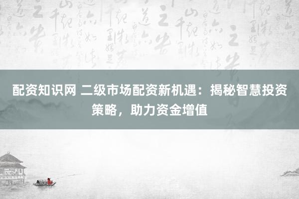 配资知识网 二级市场配资新机遇：揭秘智慧投资策略，助力资金增值