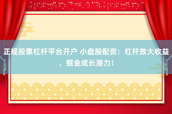 正规股票杠杆平台开户 小盘股配资：杠杆放大收益，掘金成长潜力！