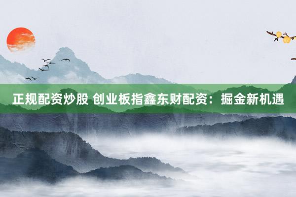 正规配资炒股 创业板指鑫东财配资：掘金新机遇