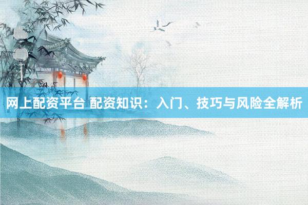 网上配资平台 配资知识：入门、技巧与风险全解析