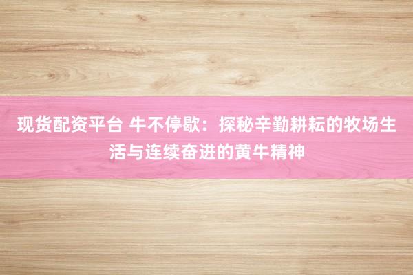 现货配资平台 牛不停歇：探秘辛勤耕耘的牧场生活与连续奋进的黄牛精神