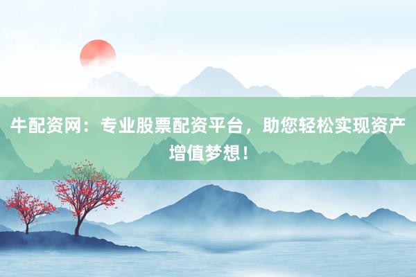 牛配资网：专业股票配资平台，助您轻松实现资产增值梦想！