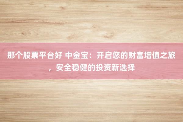 那个股票平台好 中金宝:开启您的财富增值之旅,安全稳健的投资新选择